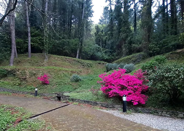 Il Bosco Di Campo Marzano Studios