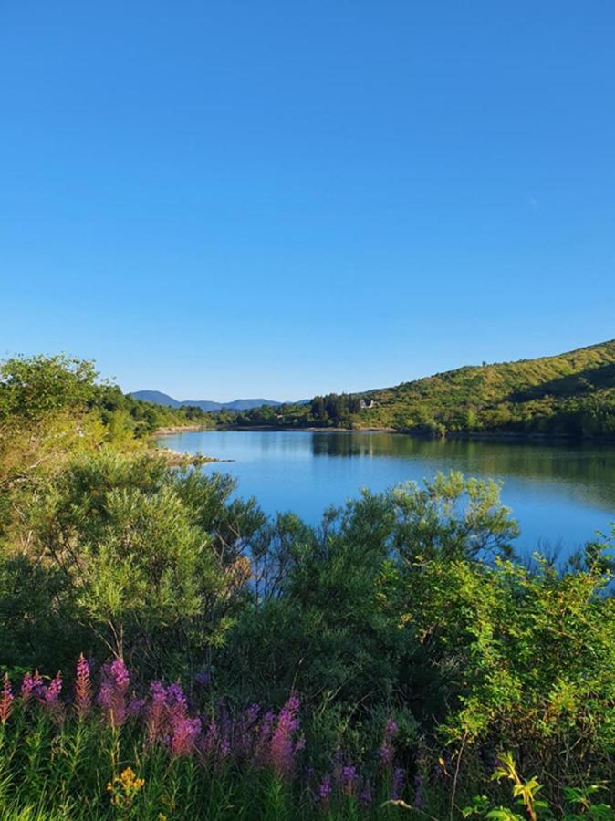 Il Bosco Di Campo Marzano Holiday home *