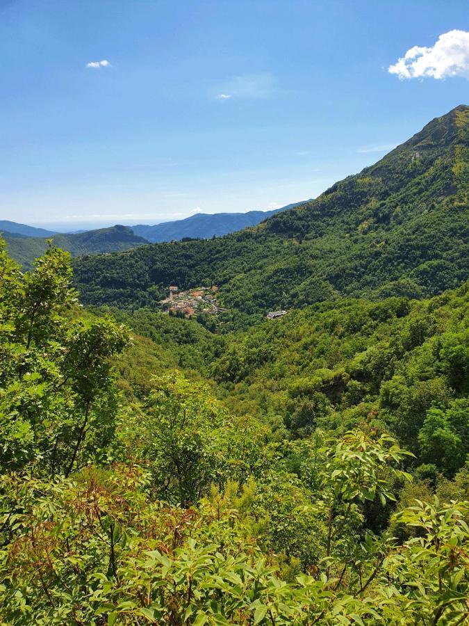Il Bosco Di Campo Marzano Holiday home