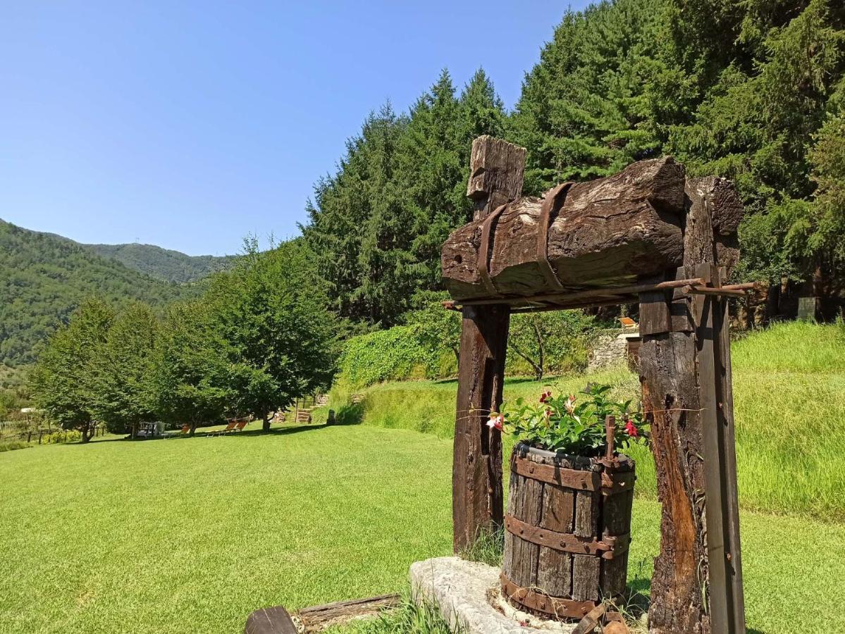 Il Bosco Di Campo Marzano Holiday home *