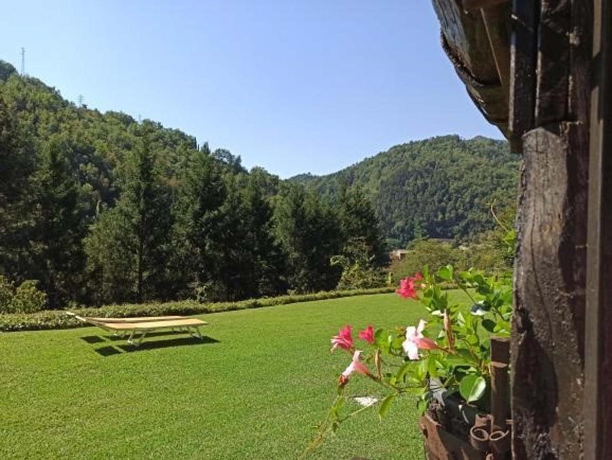 Il Bosco Di Campo Marzano *