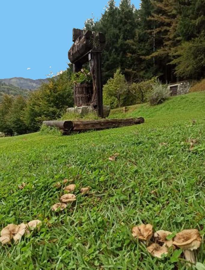 Il Bosco Di Campo Marzano Holiday home *