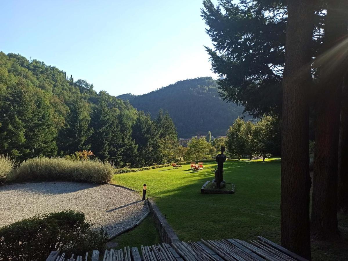 Il Bosco Di Campo Marzano *