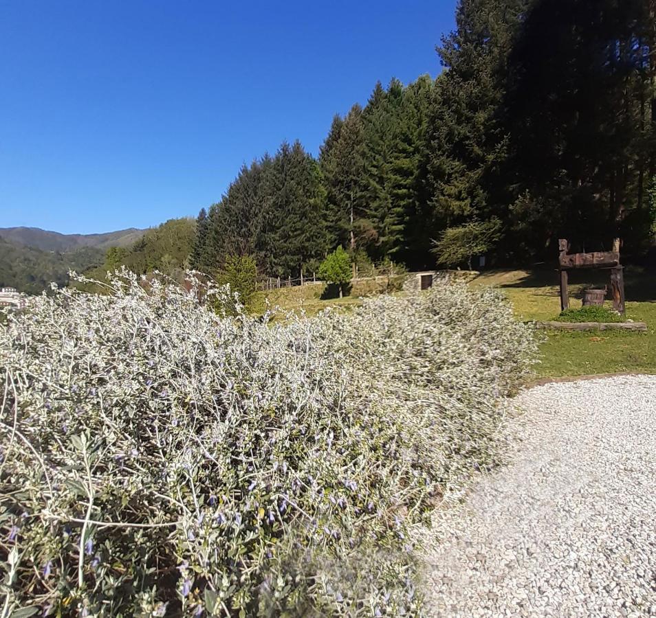 Il Bosco Di Campo Marzano Borzonasca