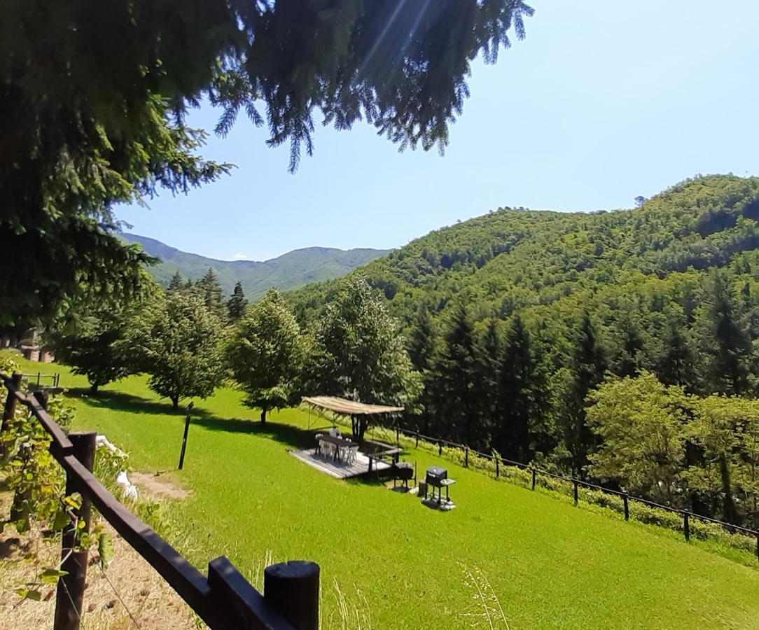 Holiday home Il Bosco Di Campo Marzano *